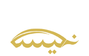 Nakissa Logo